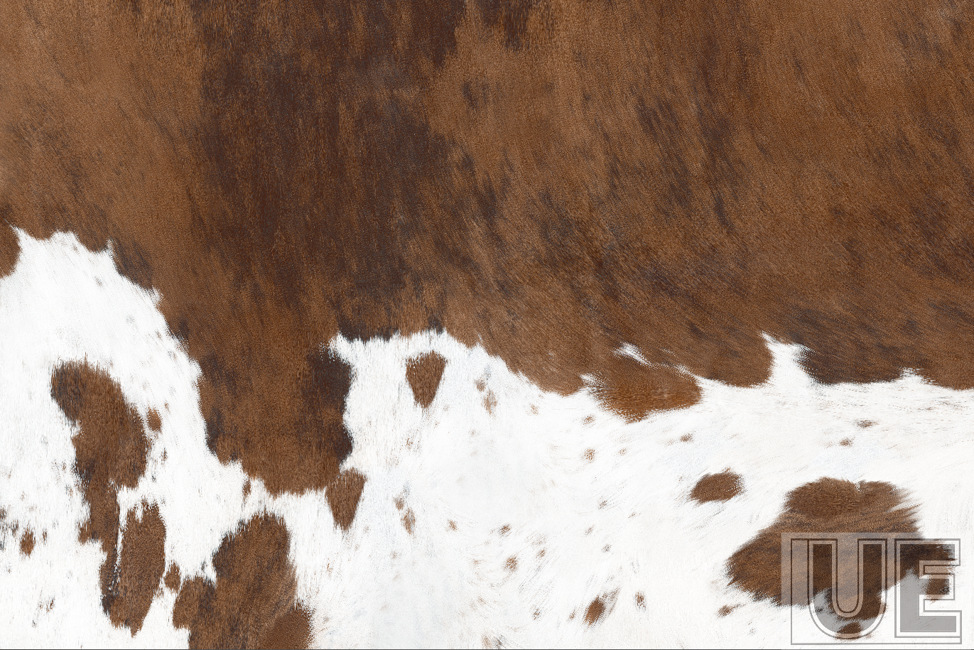 Monologue order