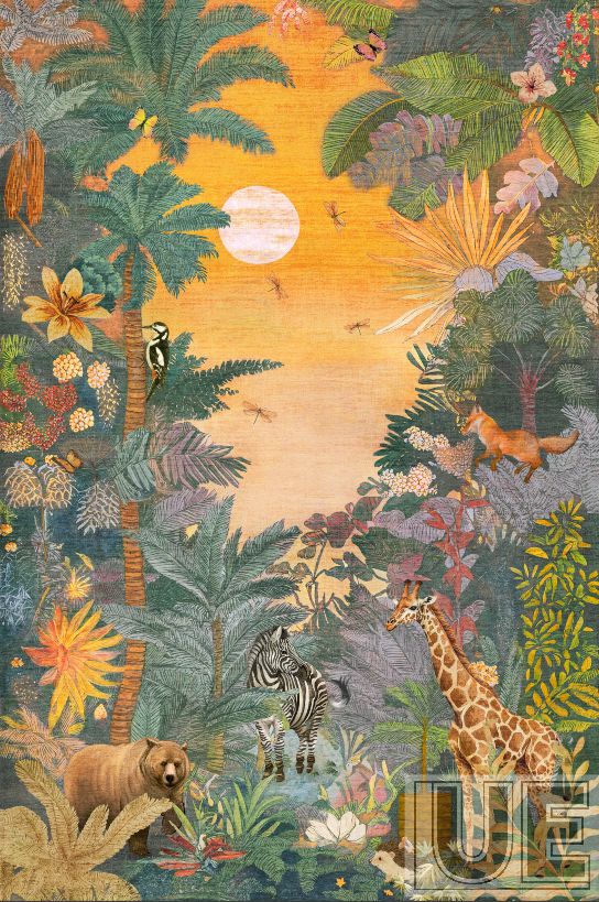 Quiet Jungle sunrise