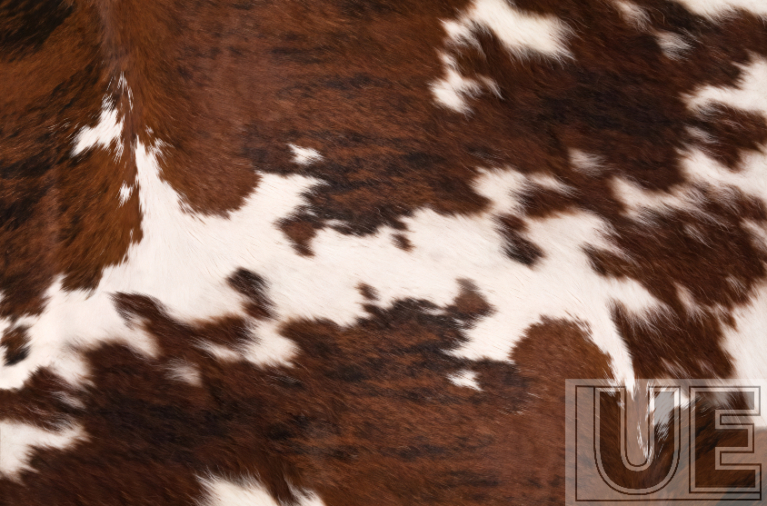 Ranch Cow Pattern