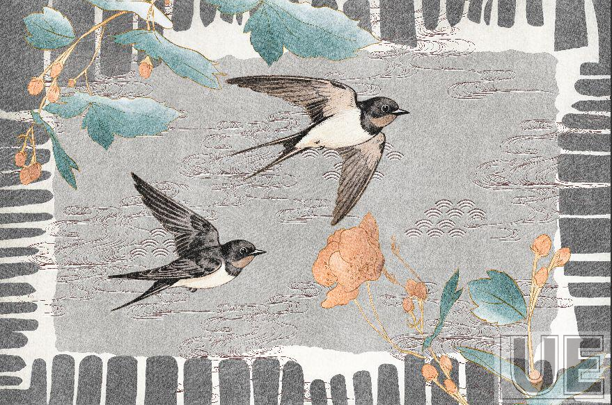 The soaring swallows