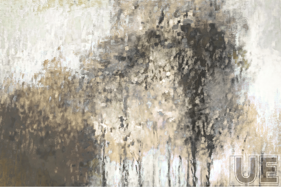 shadow of a tree