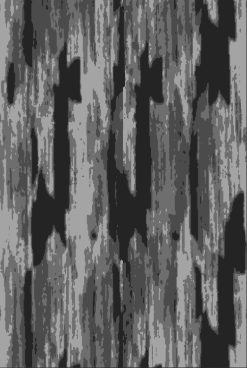 wood grain