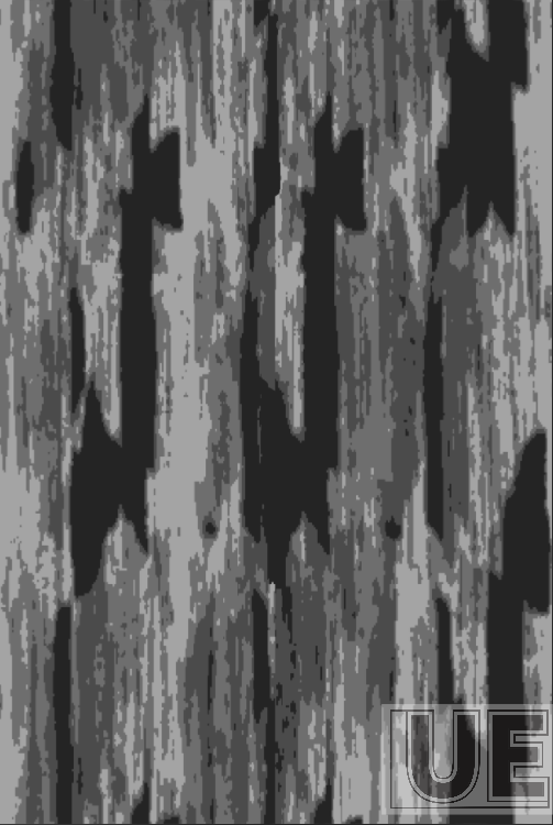 wood grain