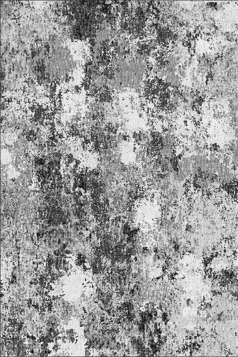 Ant nest