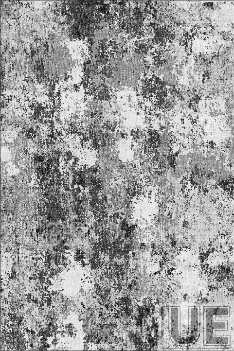 Ant nest