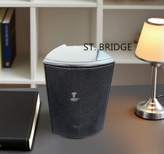 ST. BRIDGE  Speaker enclosure with a brand new reinforced and thickened design featuring a metal mesh. Suitable for KTV, meetings, broadcasting, and other audio applications.