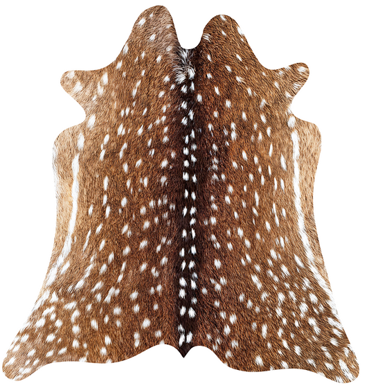 A Fawn in the Countryside