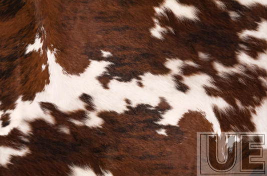 Ranch Cow Pattern