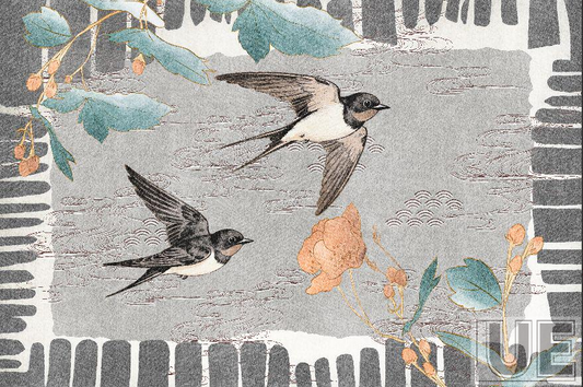 The soaring swallows