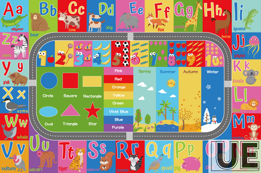 Kids Eduction Rugs