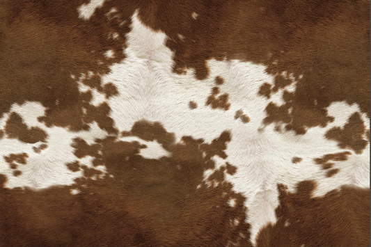 White spotted cowhide