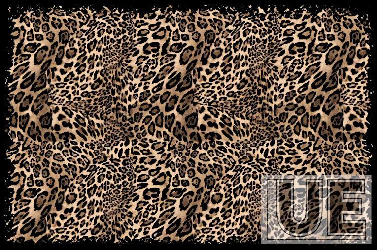 Wild Jungle Leopard Spots