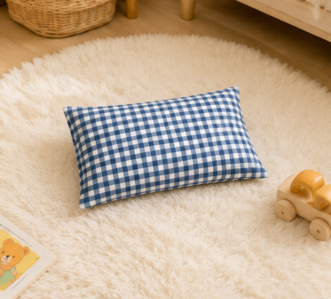 Beglad Soft Washed Cotton Plaid Pillowcase, Envelope Closure Decorative Throw Pillow Case for Kids Bed Sofa, Blue White Gingham 12"×20"
