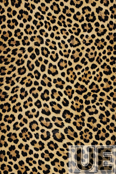 leopard shadow