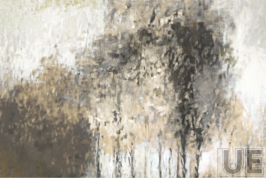 shadow of a tree