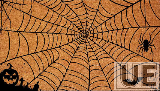 spider web