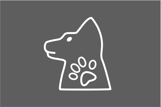 The dog's head and PAWS